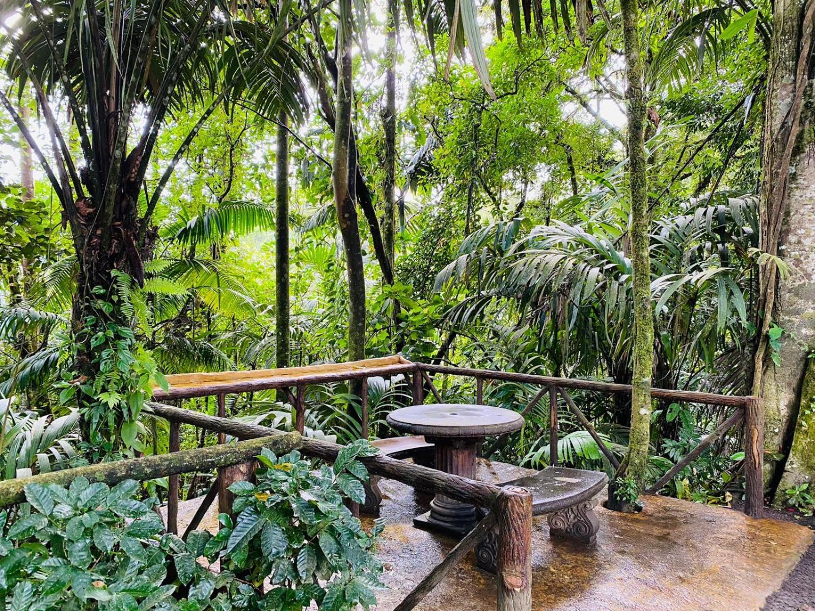 Wellness Park Cr Villa La Fortuna Ngoại thất bức ảnh